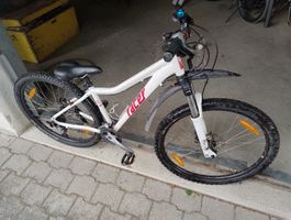 Velo Mountaineer Racer Mountainbike 