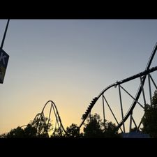 Profile image of mar_jxt2