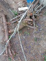 Holzstücke