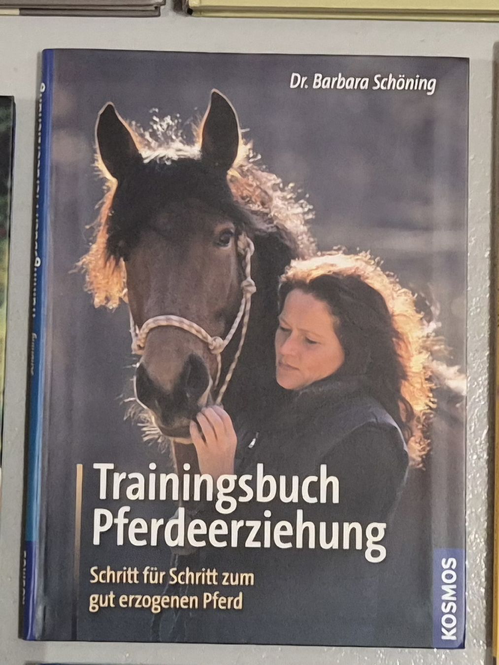 Briglie & Cavezze: Pferdefachbuch "Trainingsbuch Pferdeerziehung" – Usato da Meggen venduto da Orrinka20