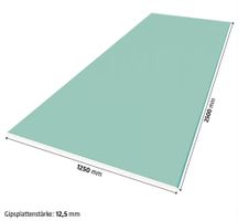 Rigips RBI (H2) Gipsplatten 12,5/1250/2500 (5 Stück)