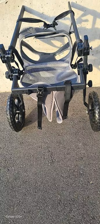 Carriole: Hunde Hilfswagen – Usato da Worb venduto da Werich 1