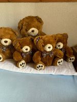 Teddybären-Familie