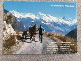 Alte Postkarte "La Prière du Valaisan“