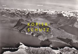 Bürgenstock mit den Alpen /bo