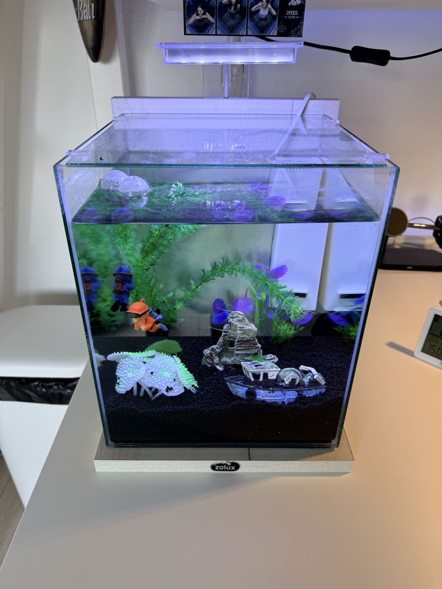 Aquarium: Aquarium 18L – Neuf (Voir description) à Genève par fra_l2v8