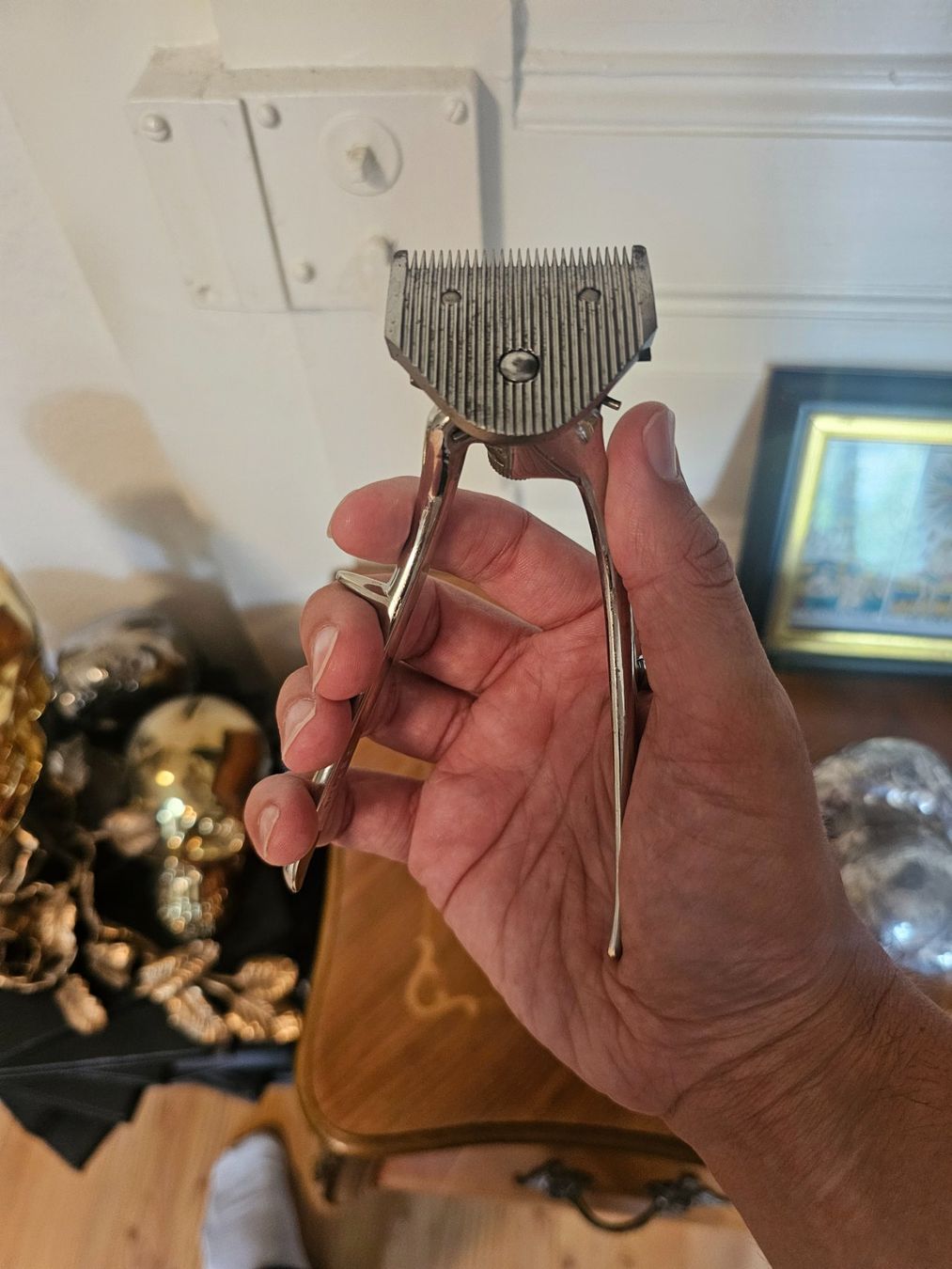 Schneiden: Tondeuse manuelle vintage chrome – Gebraucht aus Vicques von bep_zrq9 1