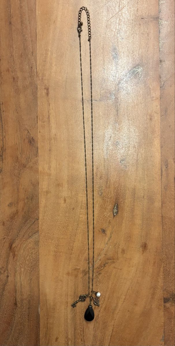 Catenine: Lange Halskette mit Anhängern – Usato da Glattpark(Opfikon) venduto da Mrs.R0bins0n 1