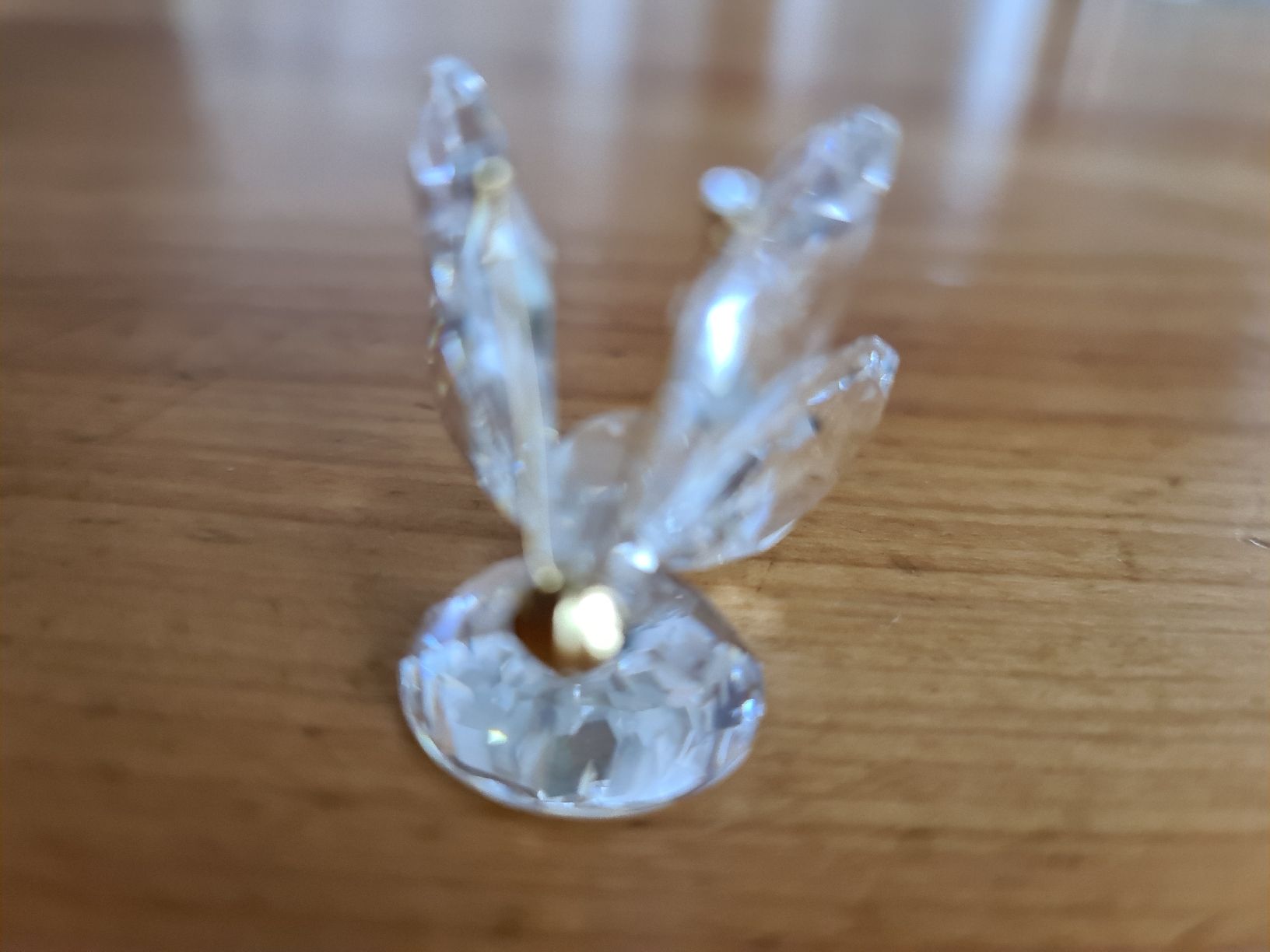 Swarovski Statuette: Swarovski Figur Schmetterling Originalverpackt  – Usato da henau venduto da Rockj 1