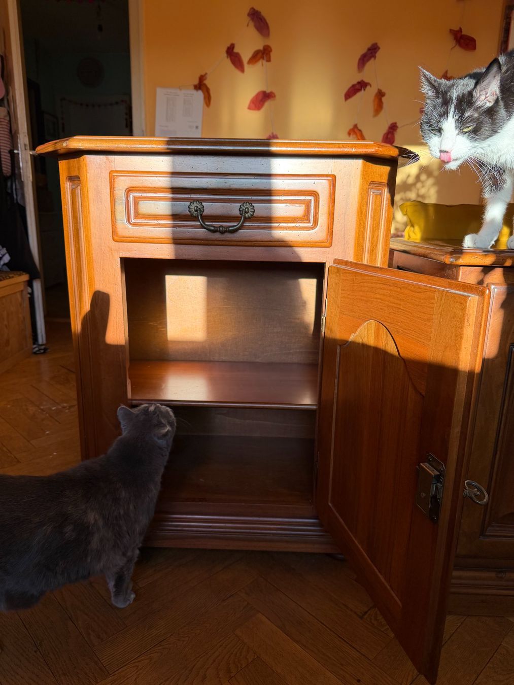 Cassettiere: 2 Meubles vintage – Usato da Genève venduto da Anne-Cat 1