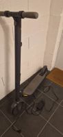 Segway Ninebot Kickscooter ES2L