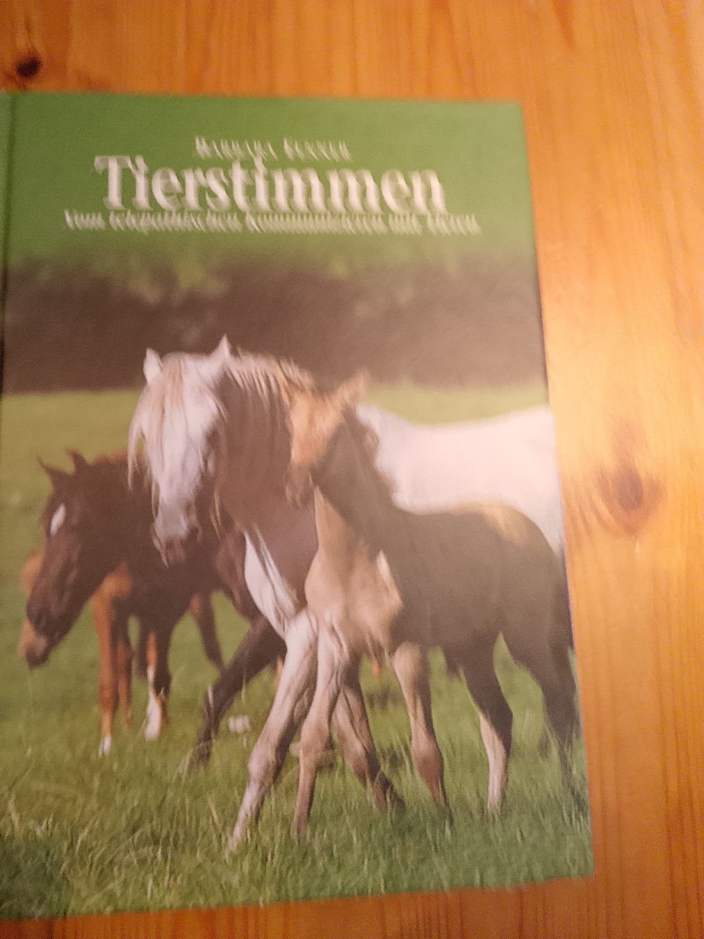 Bücher: Tierstimmen  – Neu (gemäss Beschreibung) aus Volken von katz5
