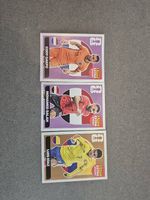 Panini Extrasticker 
