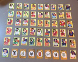 54 Panini Sticker