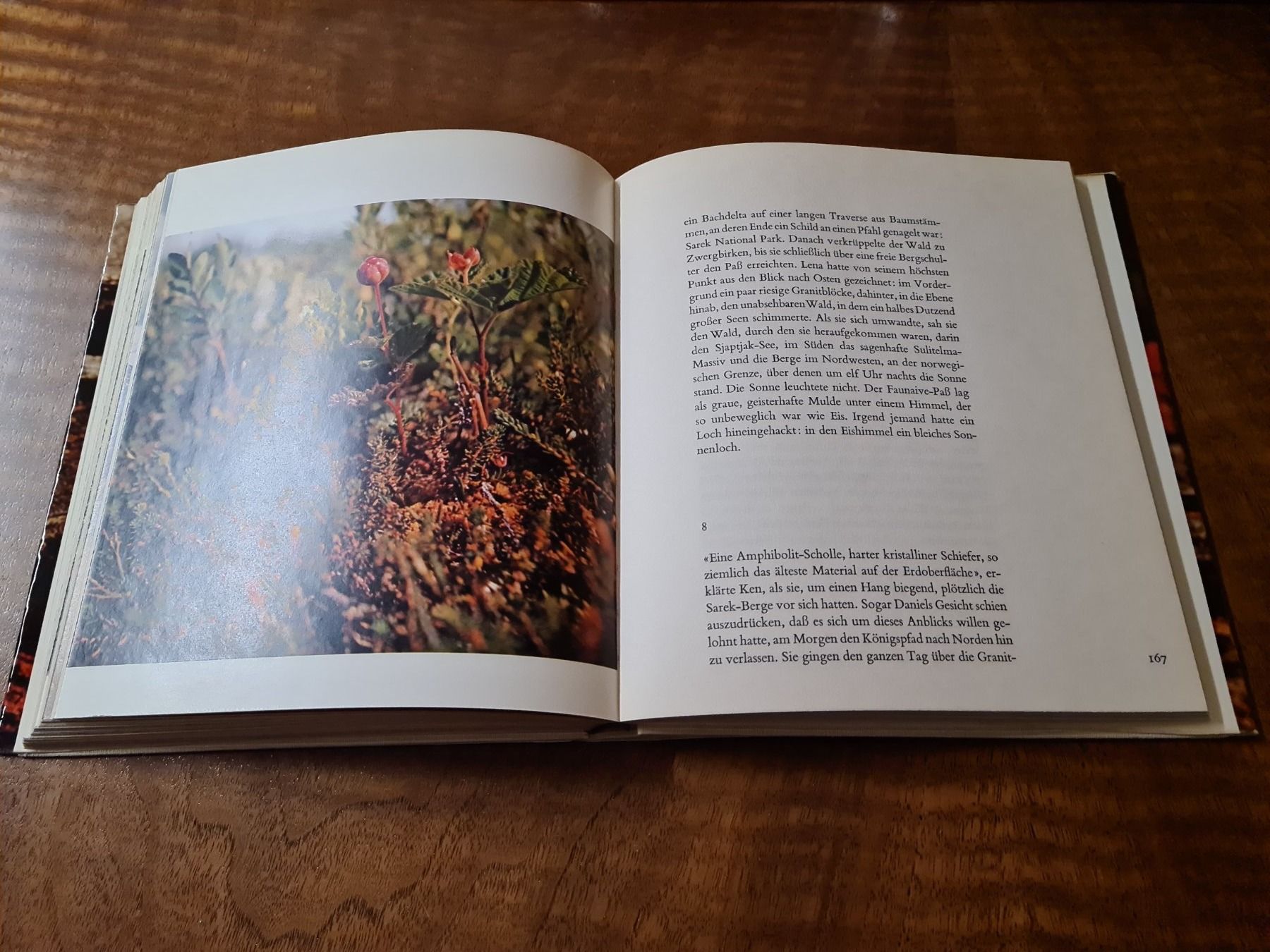 Libri: Wanderungen im Norden – Usato da Erstfeld venduto da Mario_boe0 3