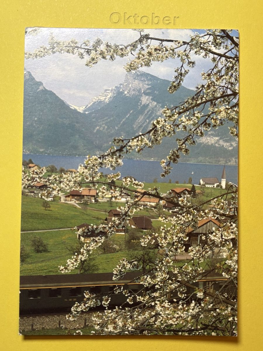 Ansichtskarten: SK von Spiez Thunersee – Gebraucht aus Rümlang von Kartenpost1
