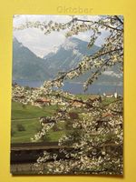 SK von Spiez Thunersee