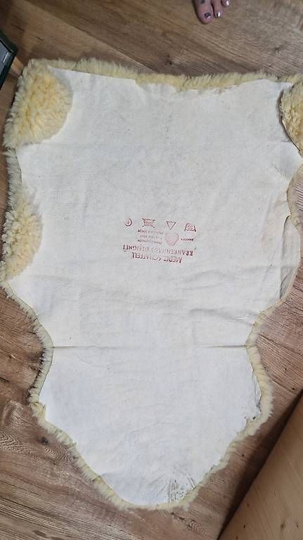 Coperte: Echte Schafswollen Decke – Usato da Grüsch venduto da huber026 2