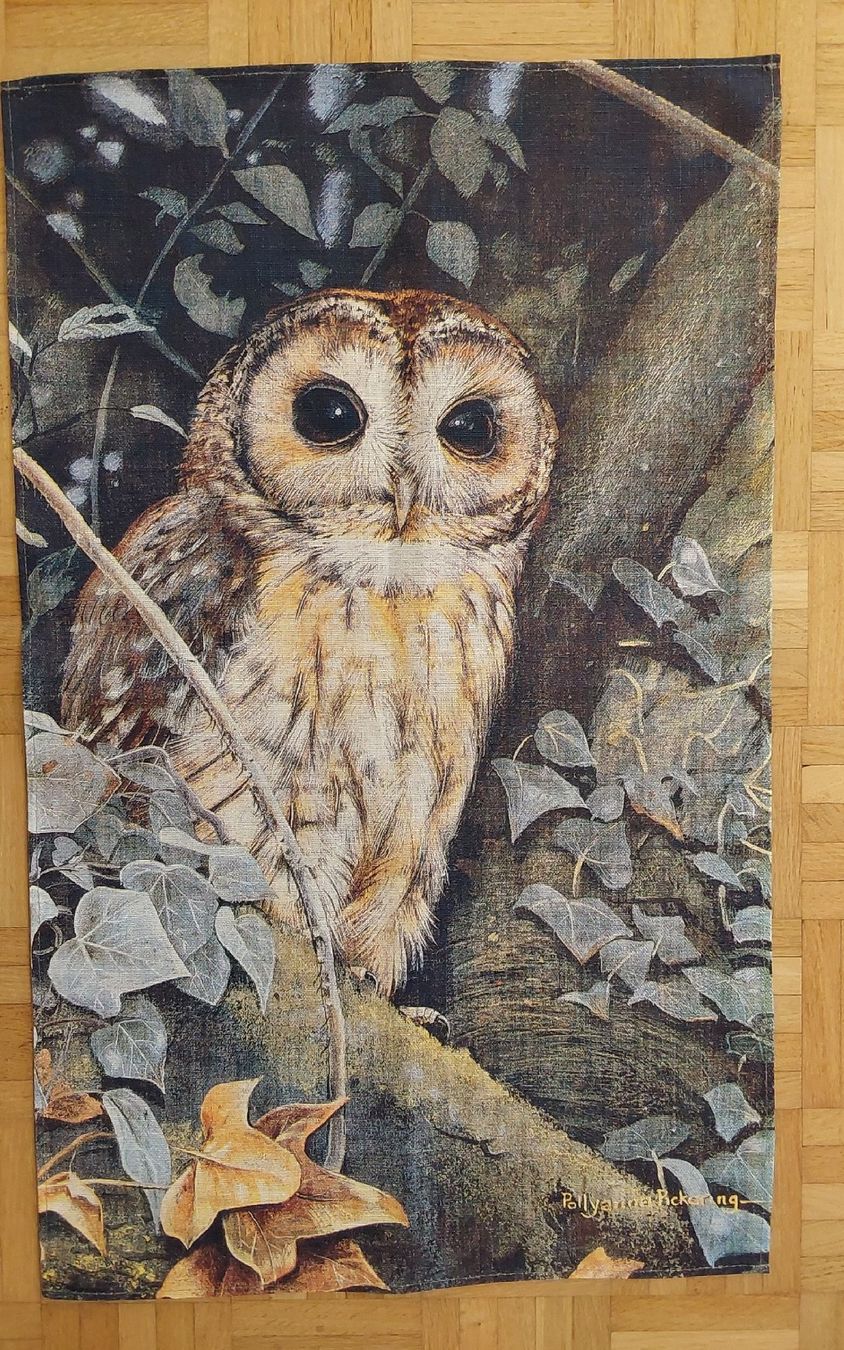 Küchentücher: Küchentuch Leinen Motiv Eule neu – Neu und originalverpackt aus Köniz von scopello12