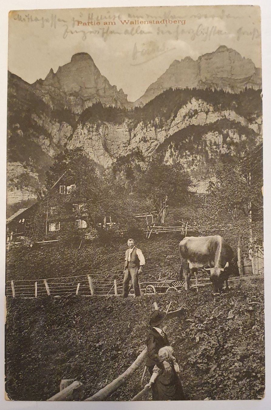Ansichtskarten: Partie am Wallenstadtberg 1908 – Gebraucht aus Kreuzlingen von Rschweiz1