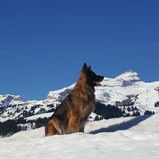 Profile image of mpinpin