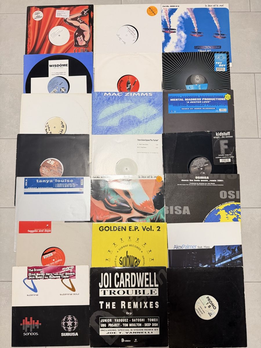 Schallplatten: House Music Sammlung – Gebraucht aus Solothurn von Funkytunky