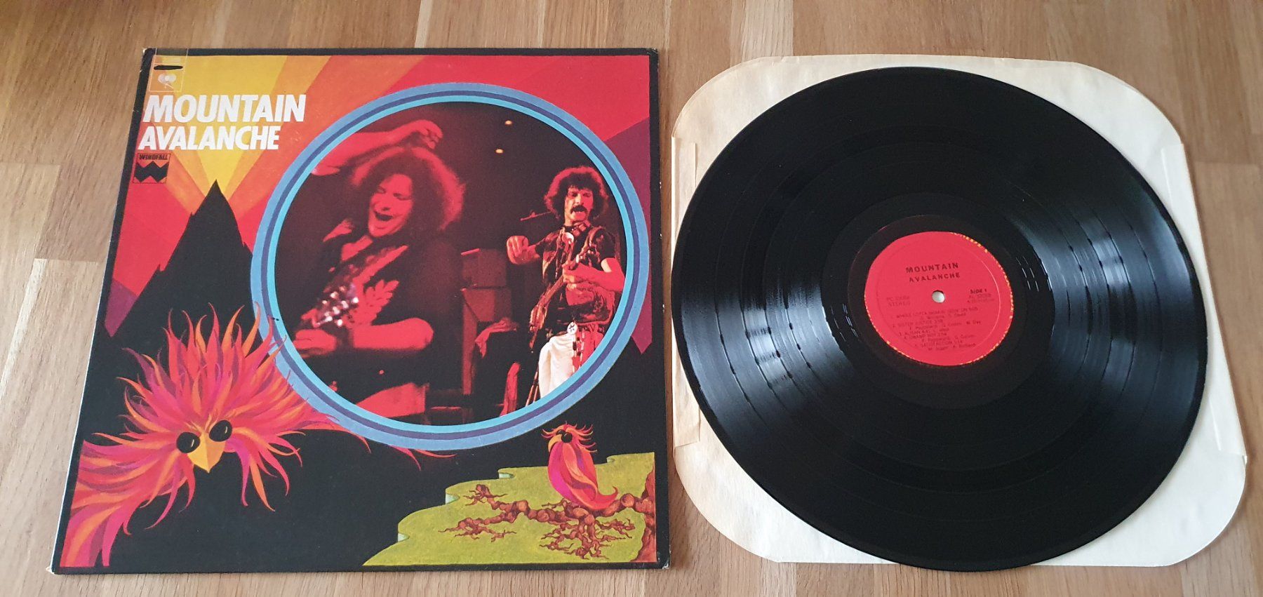 Dischi in vinile: MOUNTAIN. Avalanche, USA LP, NEUWERTIG! – Nuovo (secondo la descrizione) da Kreuzlingen venduto da Cdschlumpf