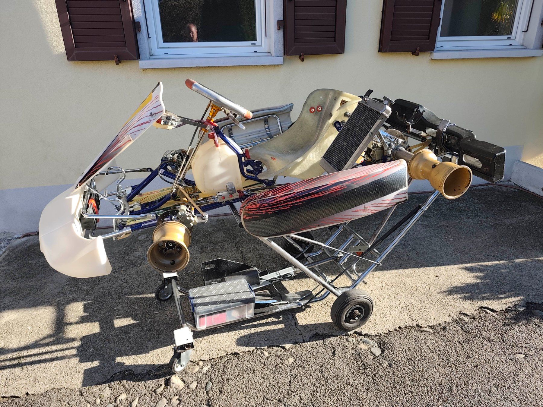 Karts: Kart kosmic – D'occasion à Sorengo par Emerson007 1