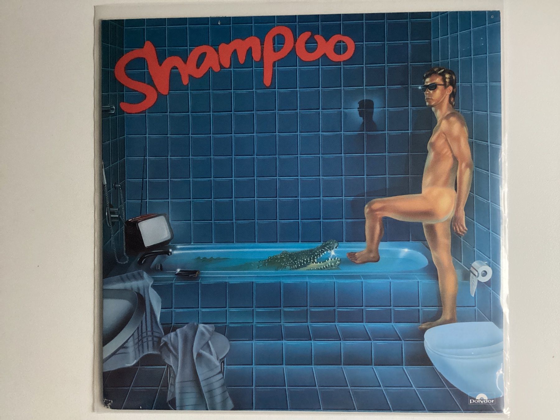 Dischi in vinile: Shampoo LP – Usato da Gutenswil venduto da Hamzian