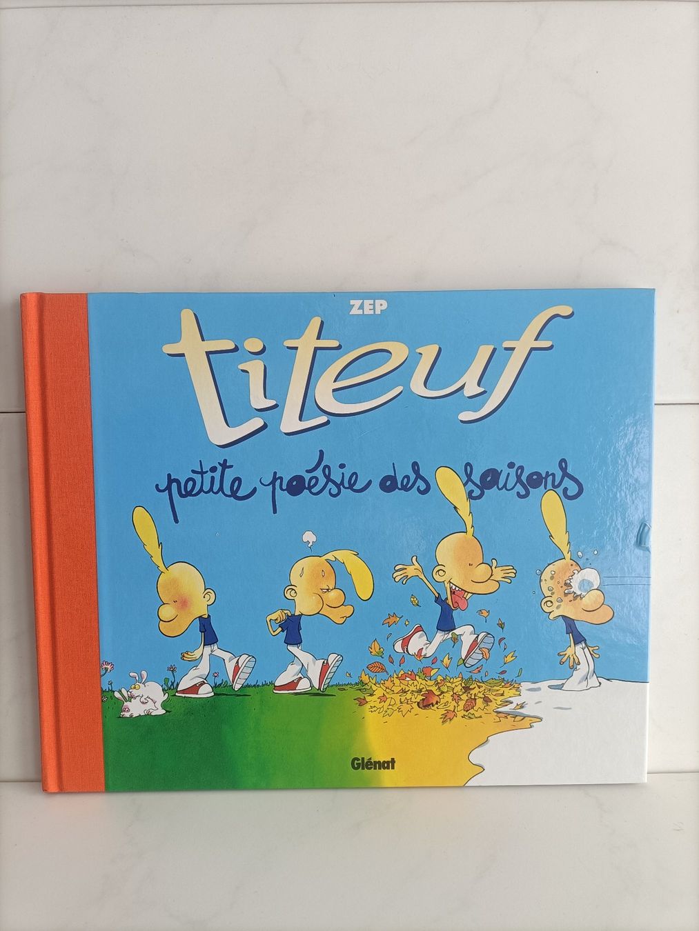 Comics: BD Titeuf - Petite Poésie des saisons / ZEP / Glénat 2005 – Gebraucht aus crans montana von AB3963
