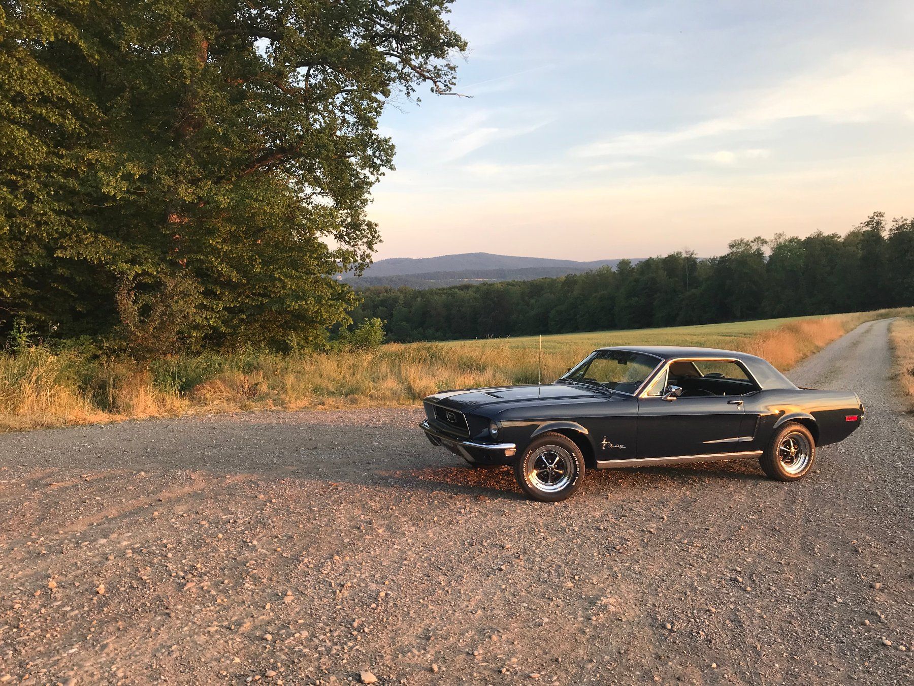 Ford (Usa) Automobili: Ford Mustang 1968, Veteran – Usato da Allschwil venduto da lukisina01 3