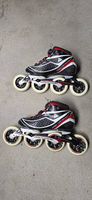 Inline Skates