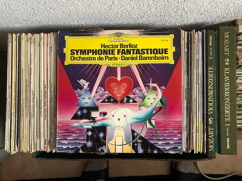 Dischi in vinile: Schallplattensammlung Vinyl Klassik – Usato da Thierachern venduto da Dotilaso