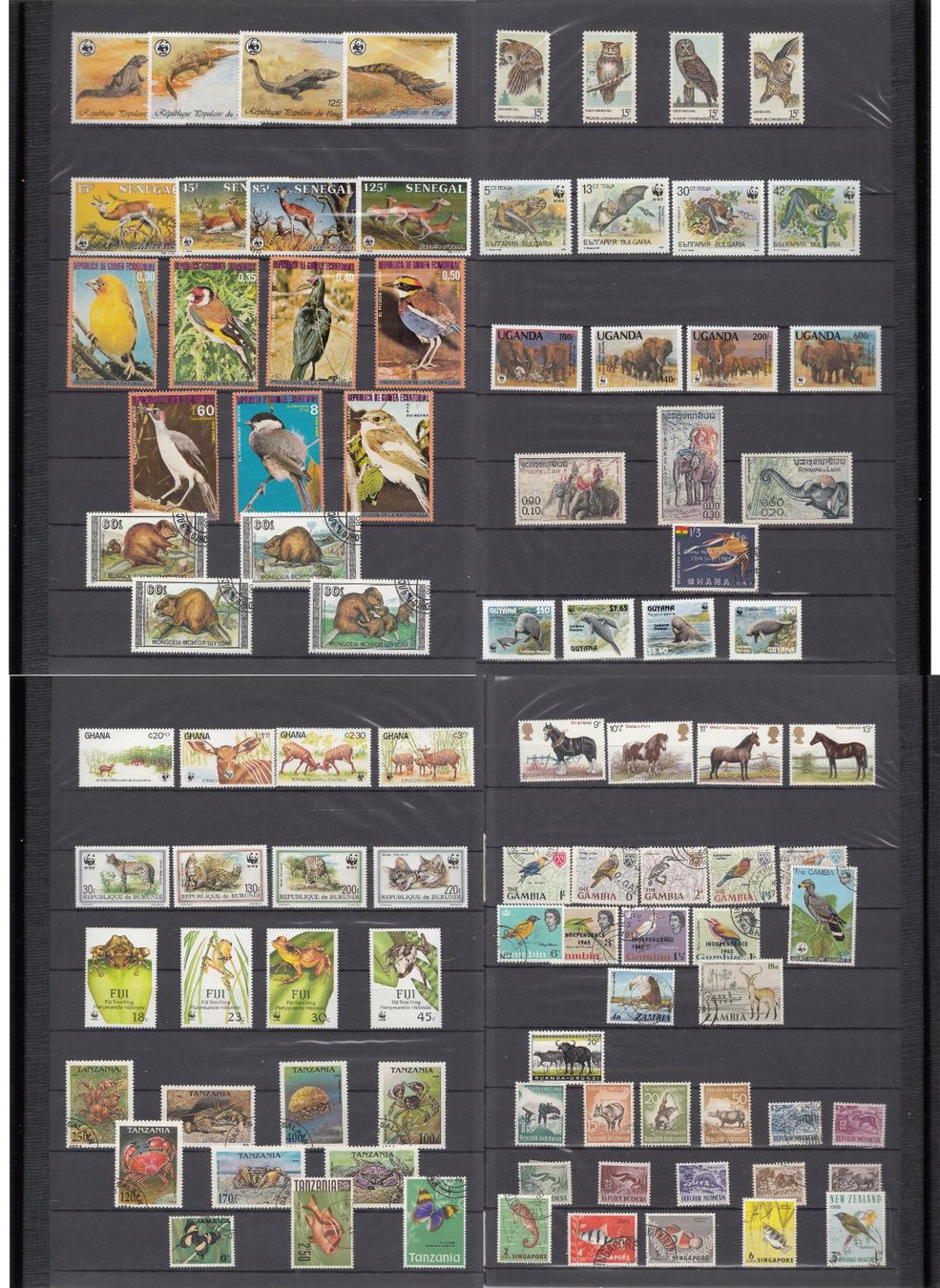 Alle Briefmarken: Motivsammlung Tiere – Gebraucht aus Bürglen TG von StampGraf 6