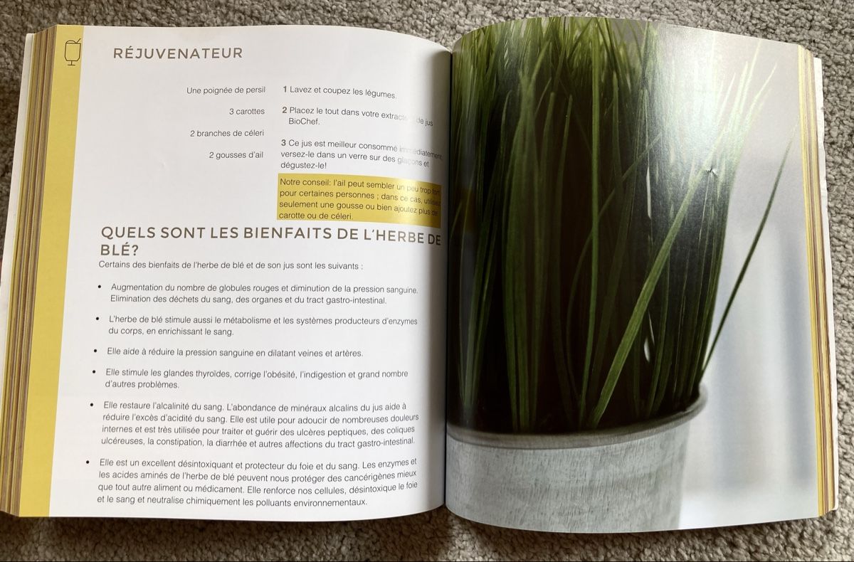 Libri: Livre de cuisine bio 5 langues – Nuovo (secondo la descrizione) da Ardon venduto da hel_2sxp 7