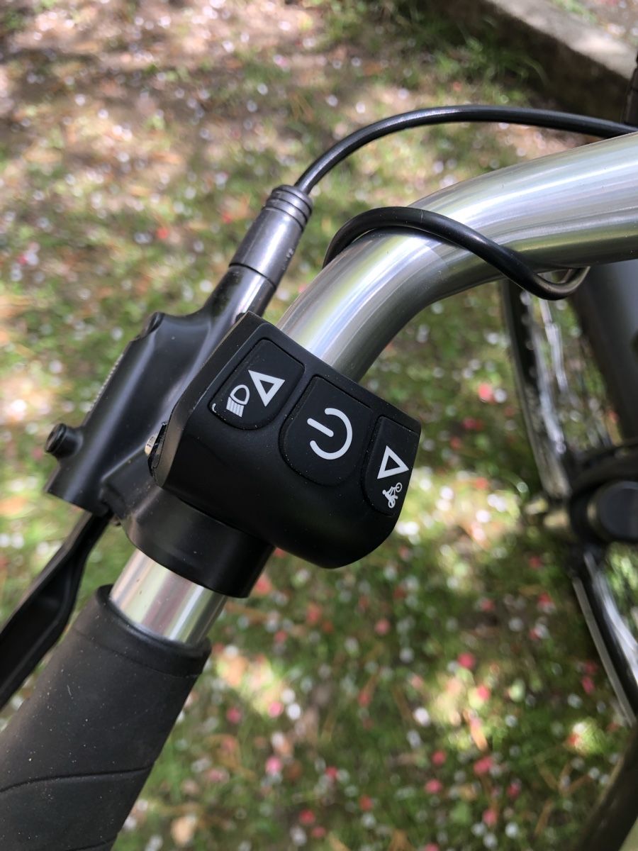Biciclette: E Bike Geniesser InsideTwo – Nuovo (secondo la descrizione) da Zollikofen venduto da pet_mgz2 1