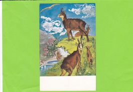 Ziegen im Gebirge