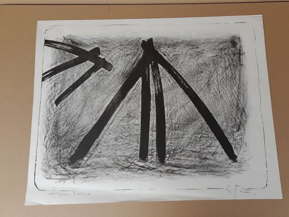 Litho Gottfried Tritten Kaufen auf Ricardo