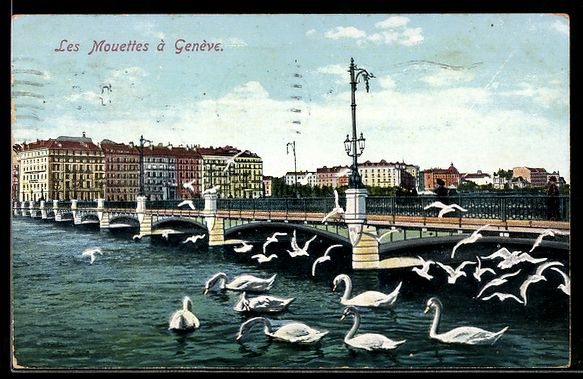Ansichtskarten: AK Genève, Les Mouettes – Gebraucht aus Berlin von bartko-reher