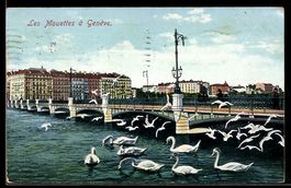 AK Genève, Les Mouettes