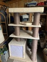 Katzenbaum 