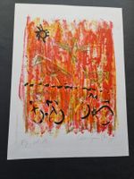 LEUZINGER GRETA LITHOGRAPHIE SIGNIERT KÜNSTLERPROBE