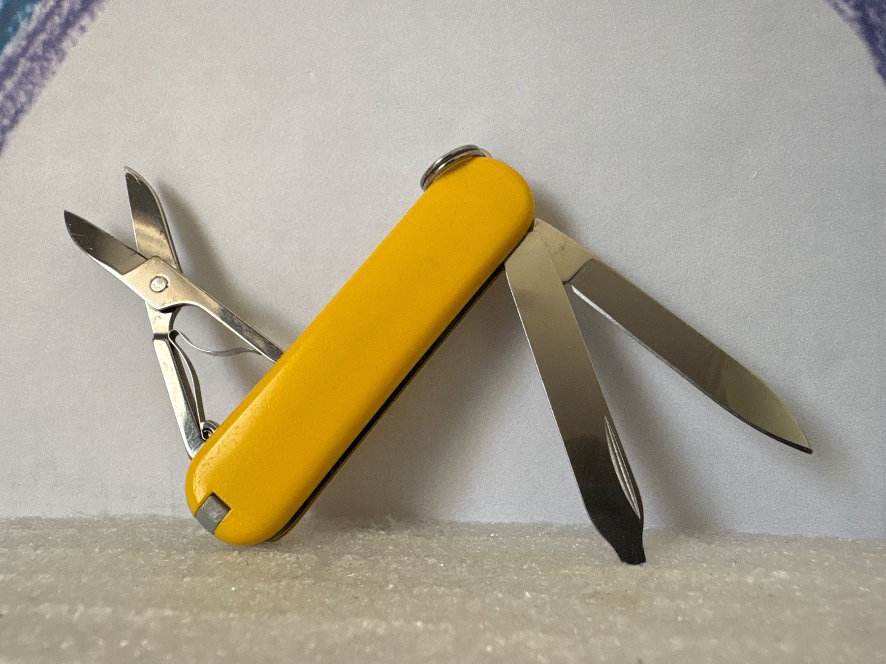 Victorinox Coltelli tascabile: VICTORINOX - Classic yellow - Sackmesser – Usato da Andwil SG venduto da Rainboli 1