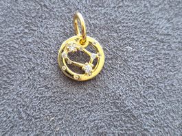 Silber Charm Sternzeichen Zwilling goldfarbig +Garantie