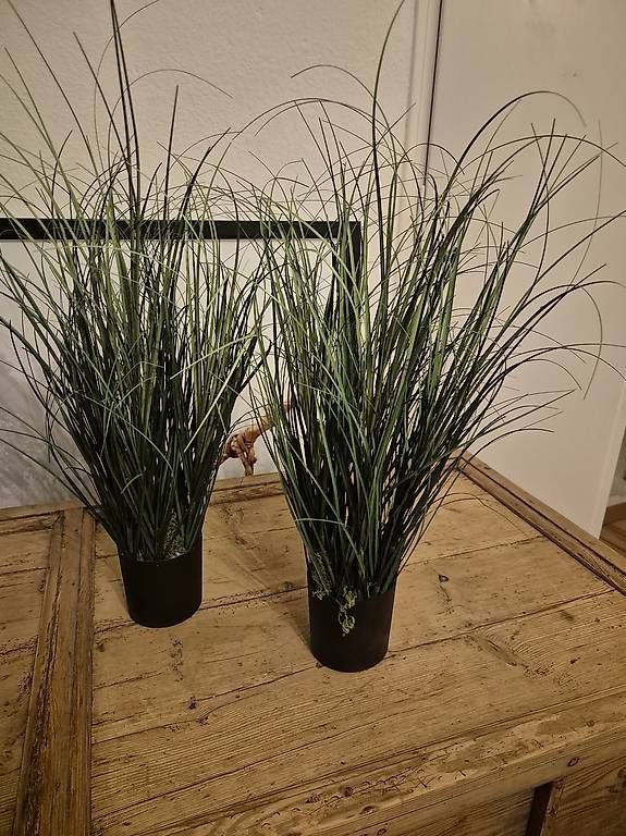 Piante & sementi: 2x Plastikpflanze ca. 55cm hoch – Usato da Zürich venduto da pompiersmartin
