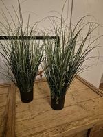 2x Plastikpflanze ca. 55cm hoch