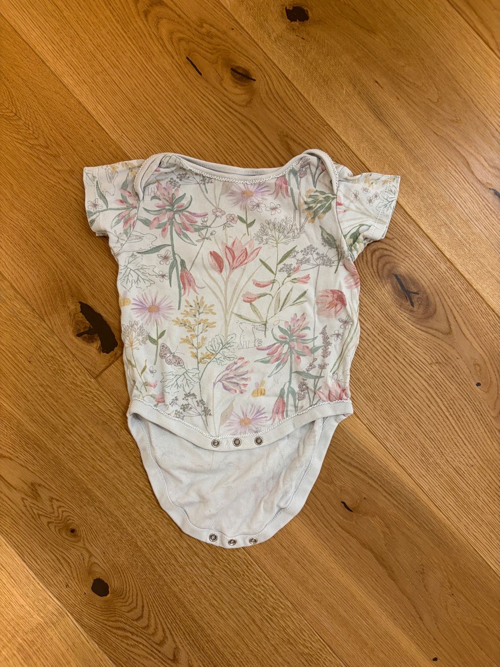Sous-vêtements: 5er Set Kurzarm Bodys Grösse 86 – D'occasion à Riedt b. Erlen par f.brown 1