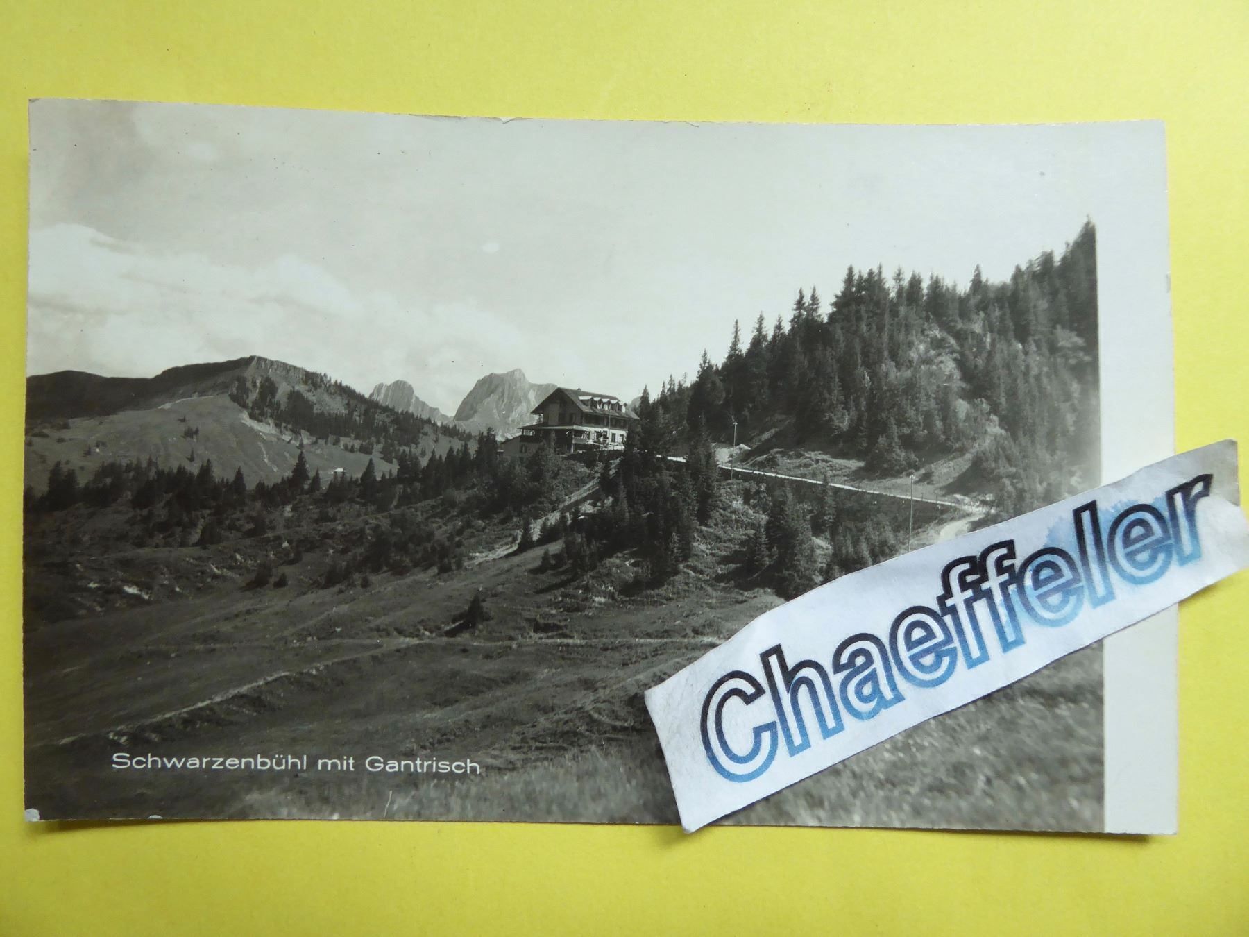 Cartoline postali: Schwarzenbühl mit Gantrisch – Usato da Zürich venduto da Chaeffeler