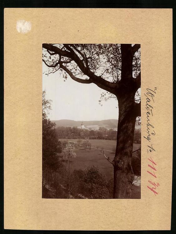 Fotografie Waldenburg, Blick von der Roc | Kaufen auf Ricardo