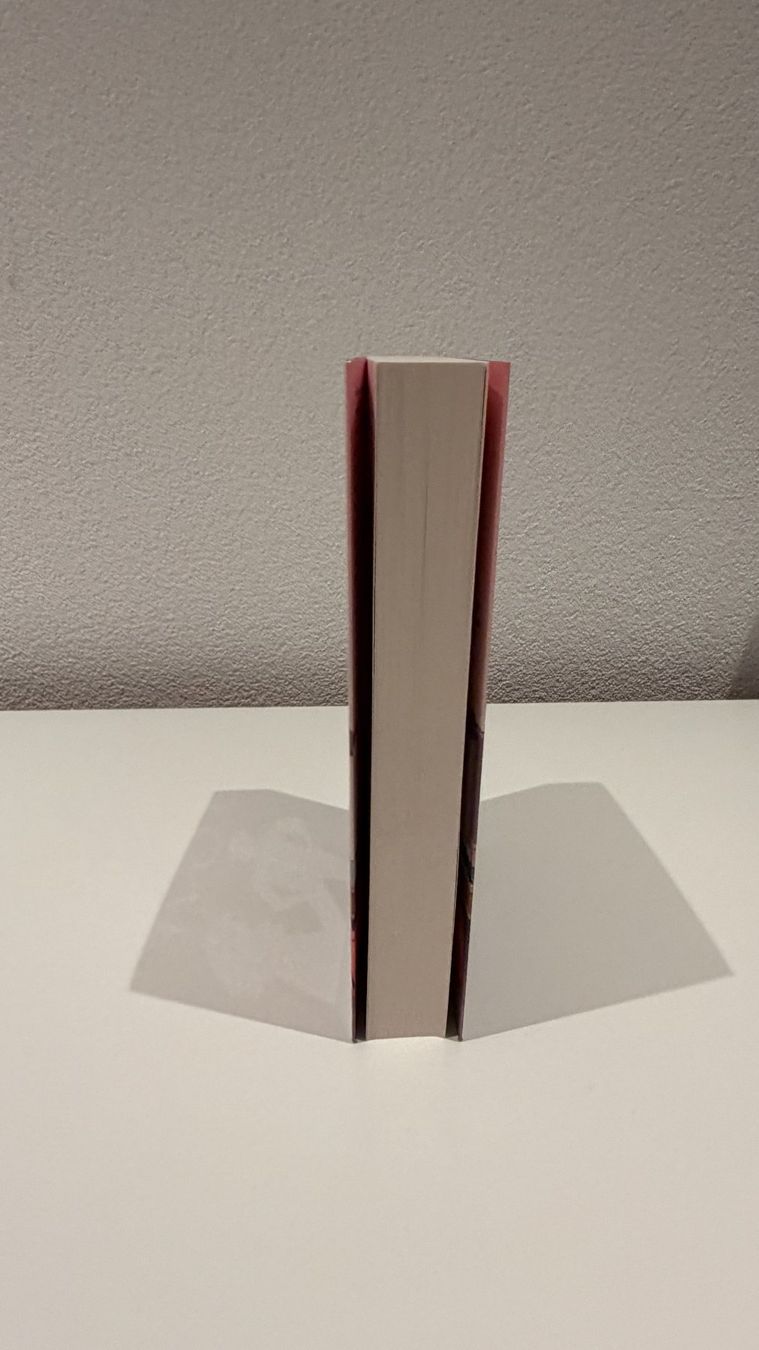 Libri: Love in Progress - Beth Reekles – Nuovo (secondo la descrizione) da Romanshorn venduto da darinaah 3